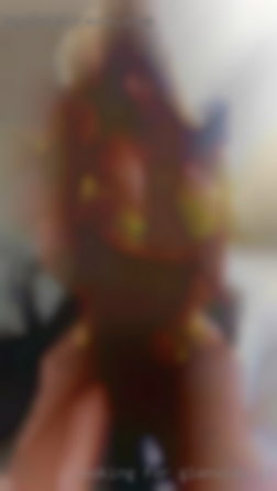 Looking for a female Glenview, IL to please me.